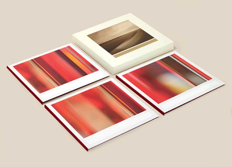 Brian Eno-Small Craft On A Milk Sea-CD – enoshop